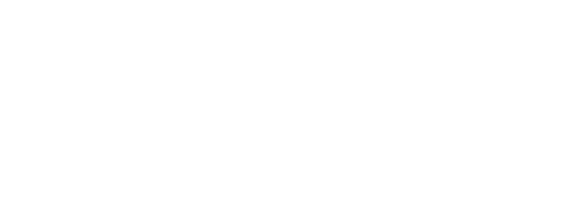 Logo Brussels Airport